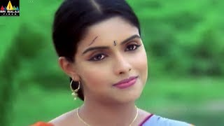 Asin Scenes Back to Back  Gharshana Telugu Movie Scenes  Sri Balaji Video [upl. by Einnaoj624]