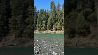 Video of Jedidiah Smith Campground — Redwood National Park CA from Bella H [upl. by Guenzi]