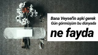 Bana Veyselin aşkı gerek  HiraiZerdüş [upl. by Pietje410]