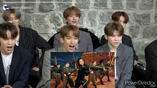 Seventeen Reaction Everglow Pirate [upl. by Ellek]