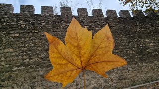 Visita al Casco Histórico de Évora  Portugal [upl. by Peddada]