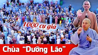 Chùa DƯỠNG LÃO Đại Tòng Lâm Vũng Tàu  Một ngày bình thường của các cụ trong đó như thế nào [upl. by Arraeis]