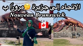 مقاطعة نوفوبرونزويك🇨🇦 الدراسة📚الهجرة✈️العطلة الصيفية🏝️🧳  nouveaubrunswick [upl. by Anotyad710]