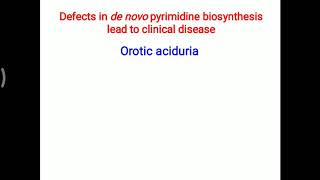 Orotic aciduria [upl. by Serena8]