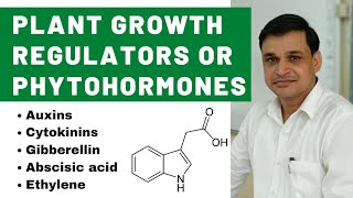 Phytohormones or Plant growth regulators  Auxins Cytokinins Gibberellin Abscisic acid Ethylene [upl. by Helms223]