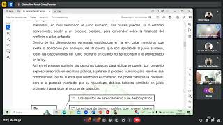 Derecho Procesal Civil 2 240918 [upl. by Carmelo]