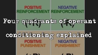 Four quadrants of operant conditioning explained  dog trainer knowledge [upl. by Anividul]