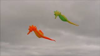 East Anglian Kite Flyers two day event at the Naze [upl. by Ahsas]