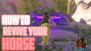 How To Revive Your Horse  The Legend Of Zelda Breath Of The Wild  Horses Of Hyrule [upl. by Marasco]