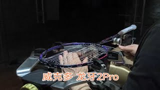 威克多龙牙2pro 羽毛球拍穿线 YONEXBG80 [upl. by Roman916]