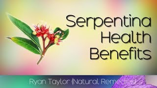 Serpentina Plant Health Benefits Serpentina Leaves [upl. by Merwyn]