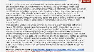 Biaxially Oriented Polyamide Film Industry [upl. by Ailegave509]