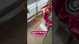 We found the world’s weirdest Quaver rare😂🤔 [upl. by Cynthea91]