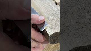 Wood Chisel Sound satisfying chisel woodworking shorts [upl. by Dnalwor26]