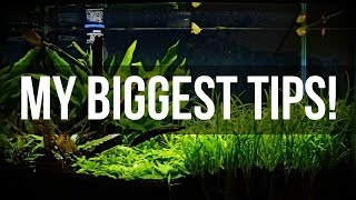 Planted Aquariums for Beginners  My Biggest Tips [upl. by Sakovich467]