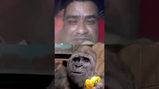 Human body magic short video trending humanity vairalvideo funny monkey [upl. by Odnamla]