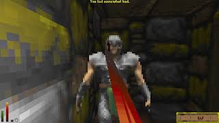 Lets Play Daggerfall Unity  207 [upl. by Gilbye]