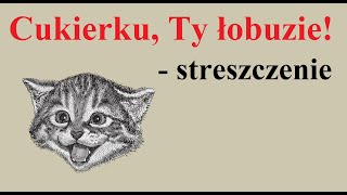 Cukierku Ty łobuzie  streszczenie [upl. by Irrac74]