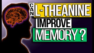 THEANINE MEMORY Benefits  Start IMPROVING your Memory Today [upl. by Jaal468]