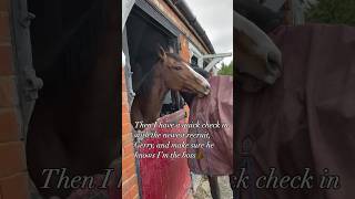 Life of a Cheltenham Gold Cup winner Coneygree horseracing horses horsesofinstagram [upl. by Ttirrej]