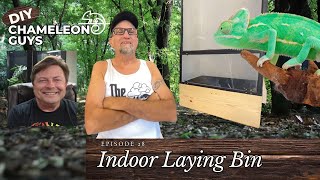 DIY Chameleon Laying Bin [upl. by Apgar]