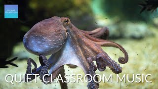 Quiet Classroom Music for Children 🐙 Octopus Relaxing music for kids to study calm classroom music [upl. by Meredith226]