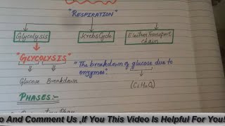 Glycolysis  Preparatory Phase  Cellular Respiration  HindiUrdu  Part 1 [upl. by Ardnaid]