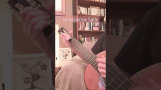 Gnossienne Erik Satie  Guitar Interpretation [upl. by Yalhsa]