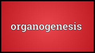 Organogenesis Meaning [upl. by Manuel]