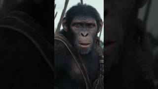 Movie  Kingdom Of The Planet Of The Apes movies apes [upl. by Ikkin]