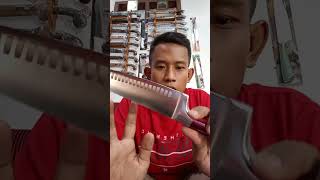 Review Pisau Berlinger Haus Profesional Chef Knife 20 cm  tes ketajaman asli bawaan pabrik [upl. by Holofernes]