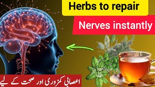 Top 15 herbs to repair nervous system instantly  how to use herbs  healthmattersbyusmanprince [upl. by Nerreg]