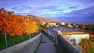 Лозанна пройтись Sunlit Panoramic View and POV Walkthrough of Lutry Lavaux Alps Lac Leman Vaud [upl. by Azila]