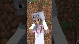 Sheep Girl  Minecraft Animation [upl. by Prima261]