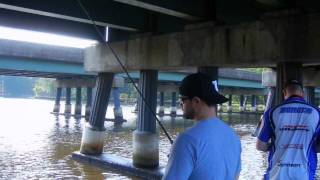 A TOUGH HOT DAY ON THE NANTICOKE RIVERavi [upl. by Idnor]