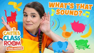 Whats That Sound  Caities Classroom SingAlong Show  Fun Listening Songs For Kids [upl. by Revolc]