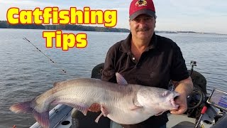 Tips for catching blue catfish in a lake Use this Multi Rig Technique to Catch Big Catfish [upl. by Caro96]