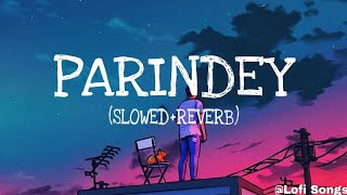 PARINDEY  SLOWEDREVERB  Peacefulllofisongs [upl. by Adnical]