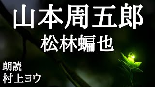 【声優の朗読】一分の隙もない剣豪の出した課題～山本周五郎・作『松林蝙也』【時代小説】 [upl. by Aztiram574]