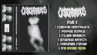 Cryptophthalmos  Demo II MC FULL 2022  Goregrind  Mincecore [upl. by Svend]