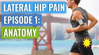 Episode 1  Lateral Hip Pain Anatomy Gluteal Tendinopathy  Bursitis [upl. by Virge9]