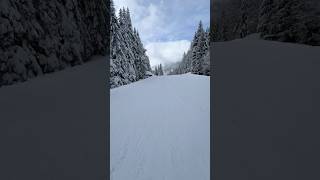 Neve fresca sulle piste dello Ski Civetta alleghe visitagordino skicivetta dolomitisuperski [upl. by Anura244]