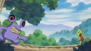 Treecko and loudred both evolves during their fight  Pokemon Advance Challenge [upl. by Lose]