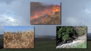 MediterraneanClimate Ecosystems Drought Fire and Flood [upl. by Ainel]