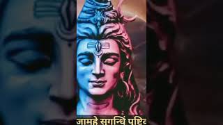 Mahamrityu Mantra 108 bar shortvideo [upl. by Enylorac324]