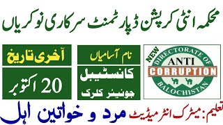 Anti cruption department Punjab jobs 2024 Balochistan jobs 2024 [upl. by Ewolram18]