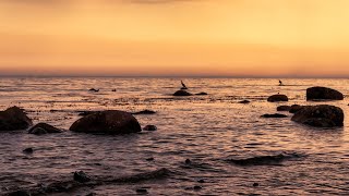 Fehmarn  Ostsee Yachthafen Steilküste [upl. by Nnylyak]