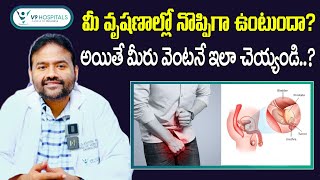 Common Causes of Testicular Pain  Epididymitis Symptoms and Treatment in Telugu  V9 Hospitals [upl. by Pirozzo]