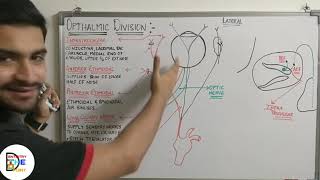 TRIGEMINAL NERVE  OPTHALMIC DIVISION PART  3   NASOCILIARY NERVE [upl. by Candyce38]