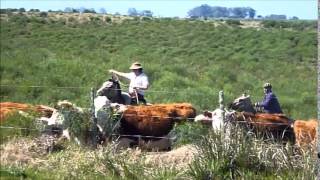 The Gauchos of Uruguay [upl. by Octavius]